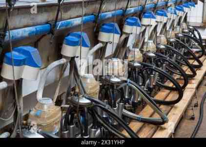 Dairy Products's' image