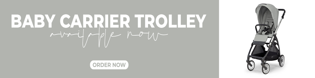 Baby carrier trolley's' image