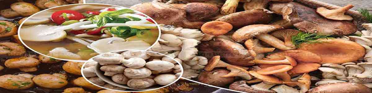 Mushroom food's' image