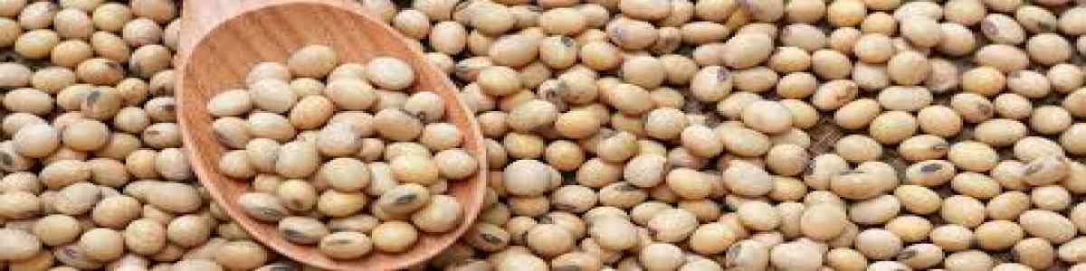 Soy food's' image