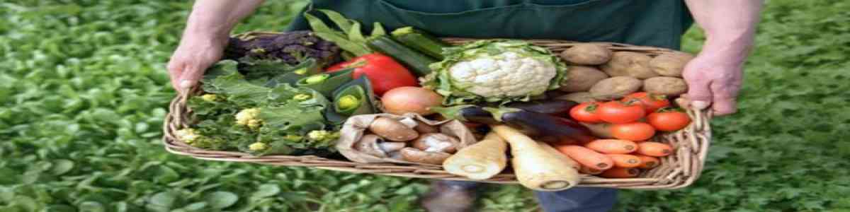 Organic foods's' image